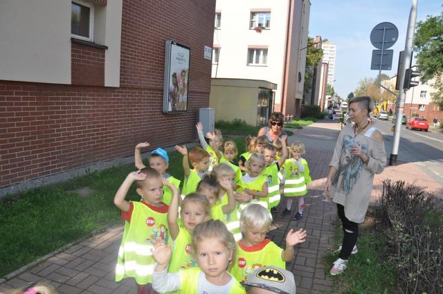 Żółwiki na spacerze
