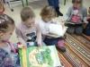 Muszelki w bibliotece